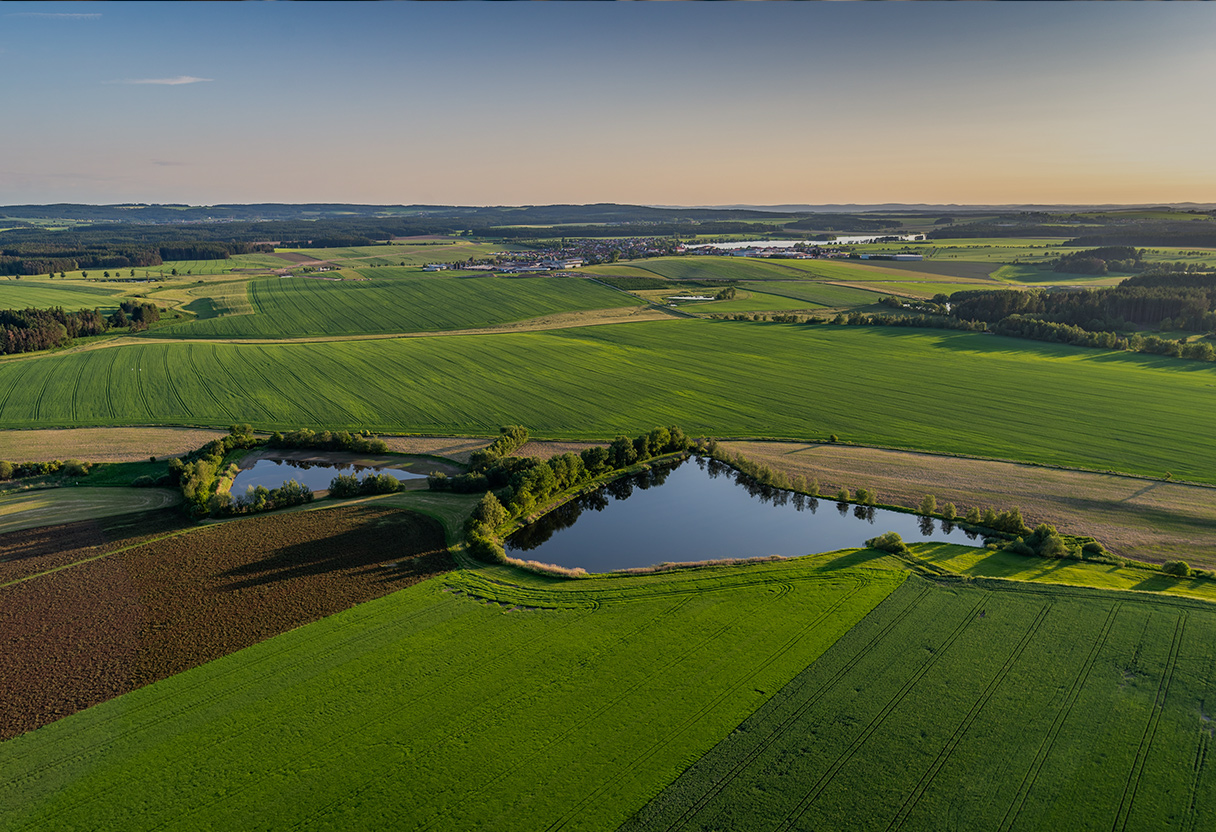Inovar na agro-pecuária para um futuro mais sustentável